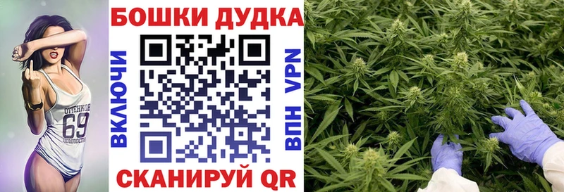 сколько стоит  Бежецк  Конопля конопля 